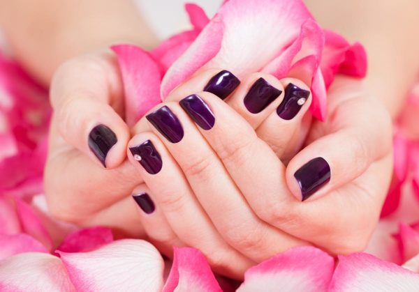 woman with purple nail polish holding rose petals